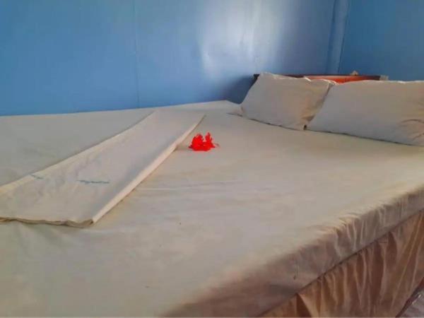Mana Lagoon Backpackers Εξωτερικό φωτογραφία